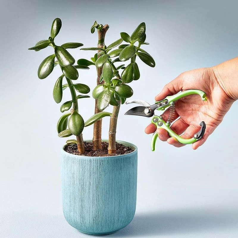 1pc Mini Elbow Gardening Scissors Fruit Picking Scissors Branch Scissors Garden Tools
1pc Mini Elbow Gardening Scissors Fruit Picking Scissors Branch Scissors Garden Tools