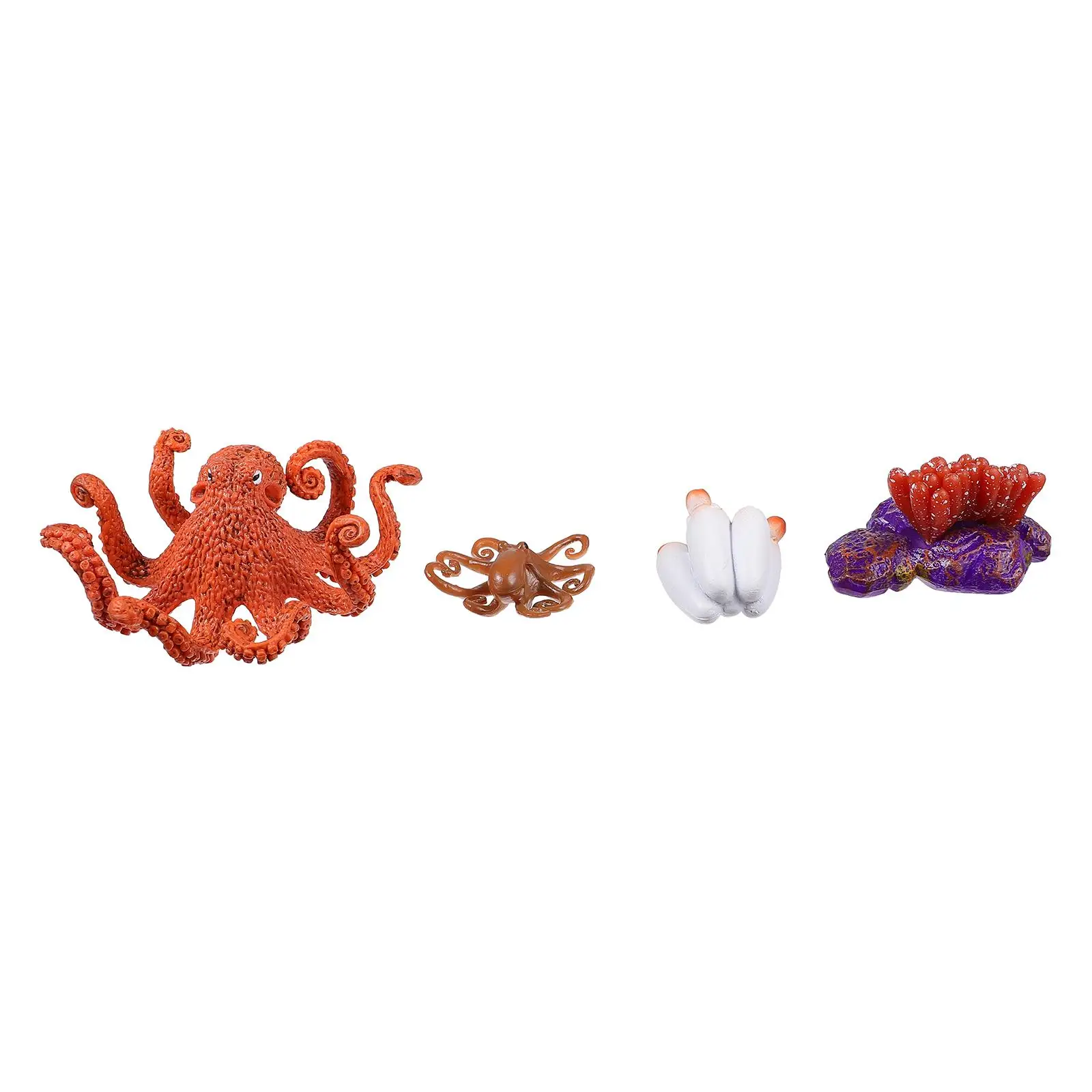 Plastic Material Octopus Growth Cycle Science Education Cognition Toy Realistic Vivid Design Teach Through Play Home
Plastic Material Octopus Growth Cycle Science Education Cognition Toy Realistic Vivid Design Teach Through Play Home