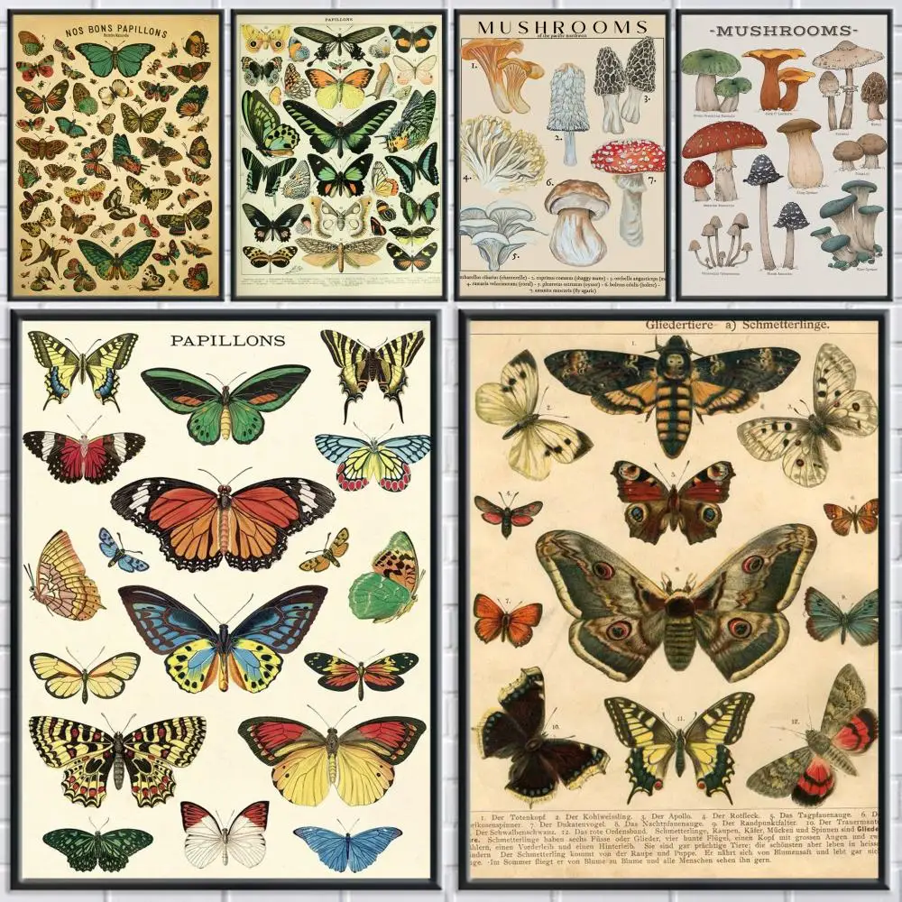 Butterfly Insect Flower Mushroom Poster Holiday Gifts Designed For Home Restaurant Office Space Corridor Wall Art
Butterfly Insect Flower Mushroom Poster Holiday Gifts Designed For Home Restaurant Office Space Corridor Wall Art