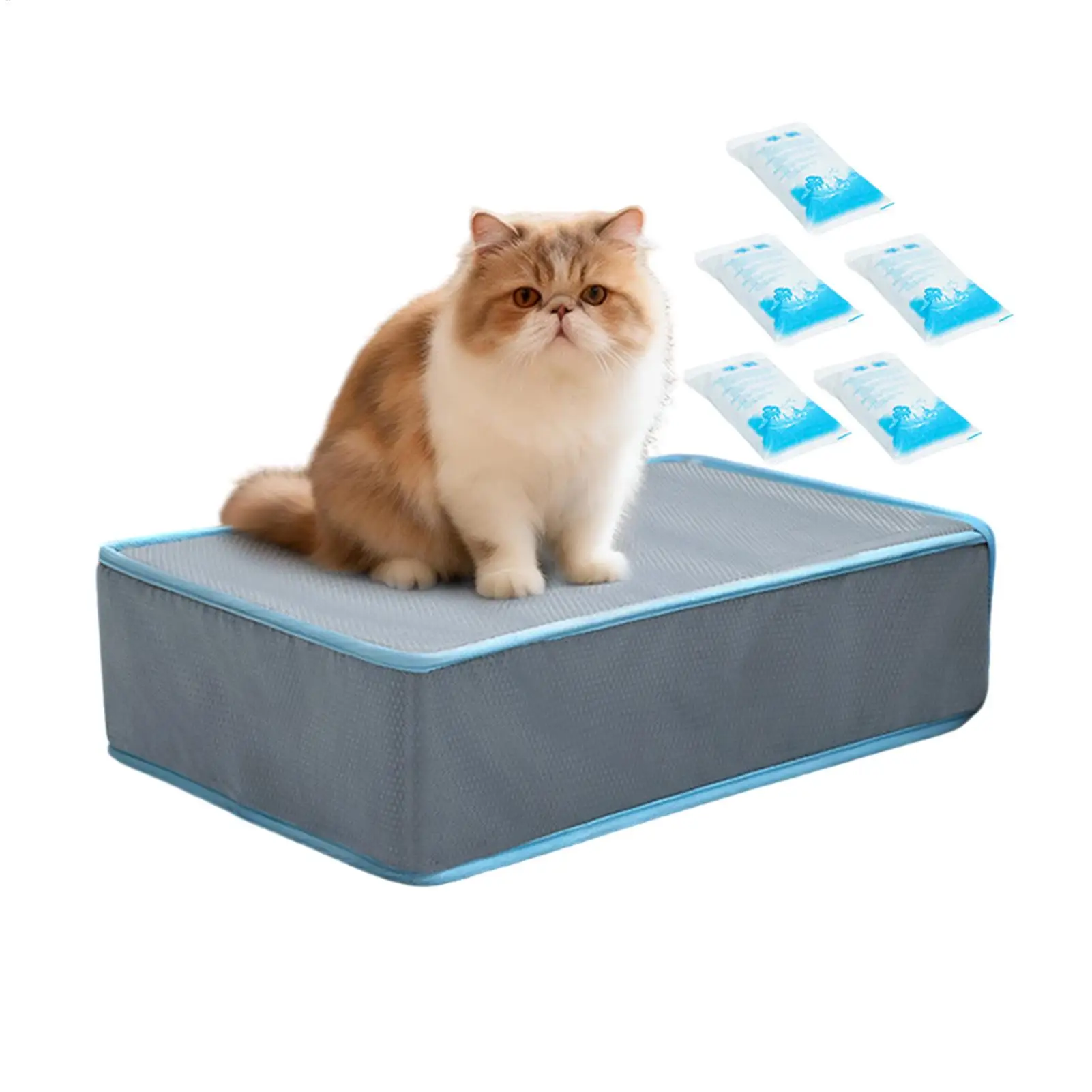 Cooling Pad For Dog 51.5x38x14cm Washable Bed With 5 Ice Packs Cooling Mat For Cats For Puppy Cat Summer Outdoor Indoor Travel
Cooling Pad For Dog 51.5x38x14cm Washable Bed With 5 Ice Packs Cooling Mat For Cats For Puppy Cat Summer Outdoor Indoor Travel