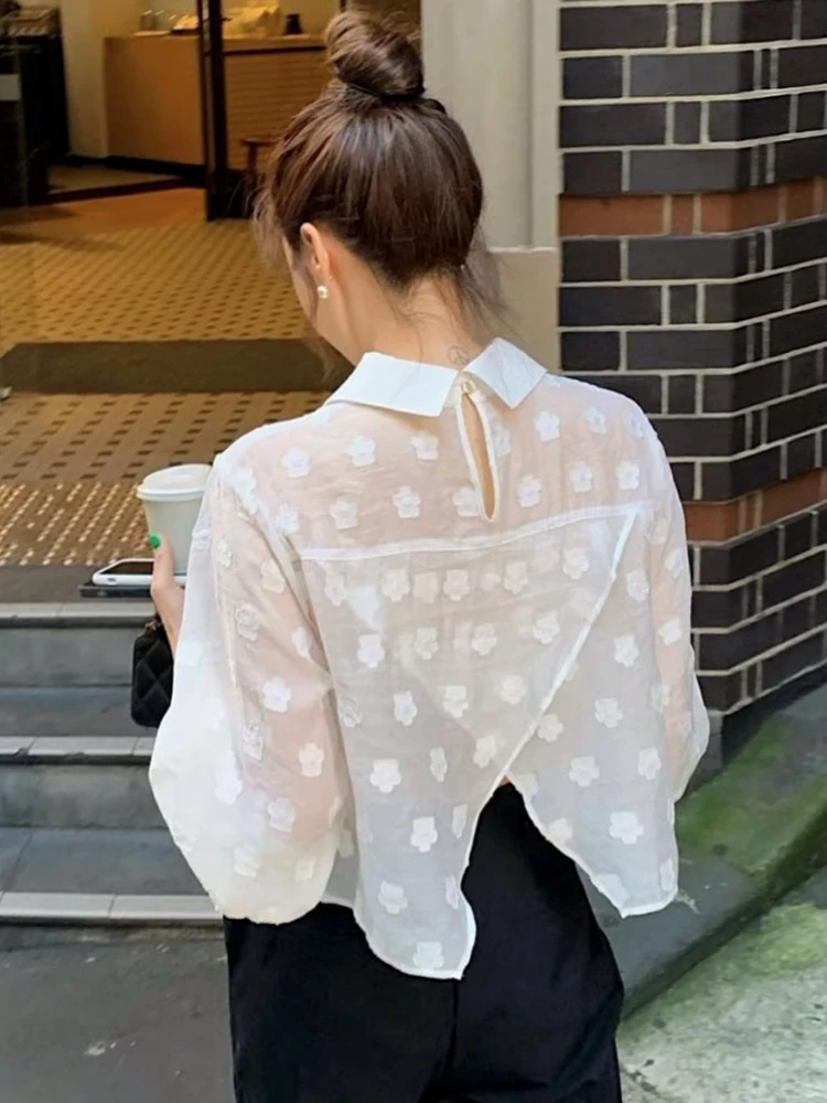 Retro Embroidered See-tough Doll Collar Women's irt Ba Split Design Base Layer Top Bubble Sve Long Sve Loose Fit
Retro Embroidered See-tough Doll Collar Women's irt Ba Split Design Base Layer Top Bubble Sve Long Sve Loose Fit