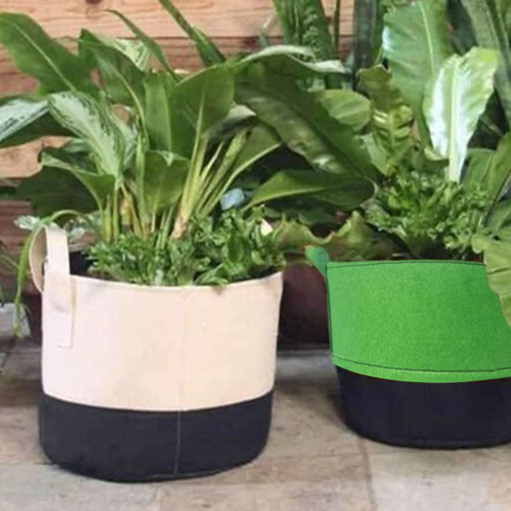 6 Pcs 3 Gallon Dual Color Felt Grow Bags Planters for Vegetable Fruit Potato Water Absorption Permeability Safe for planting
6 Pcs 3 Gallon Dual Color Felt Grow Bags Planters for Vegetable Fruit Potato Water Absorption Permeability Safe for planting