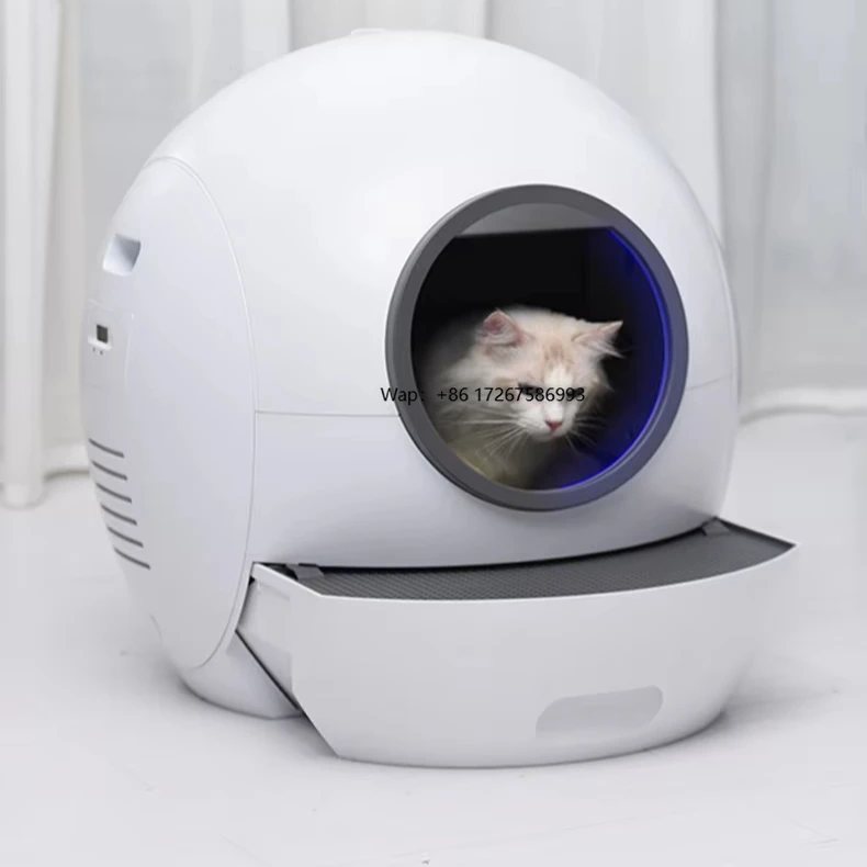 Новый умный автоматический туалет для кошек с Wi-Fi и УФ-обеззараживанием, с лопаткой, из пластика
Новый умный автоматический туалет для кошек с Wi-Fi и УФ-обеззараживанием, с лопаткой, из пластика