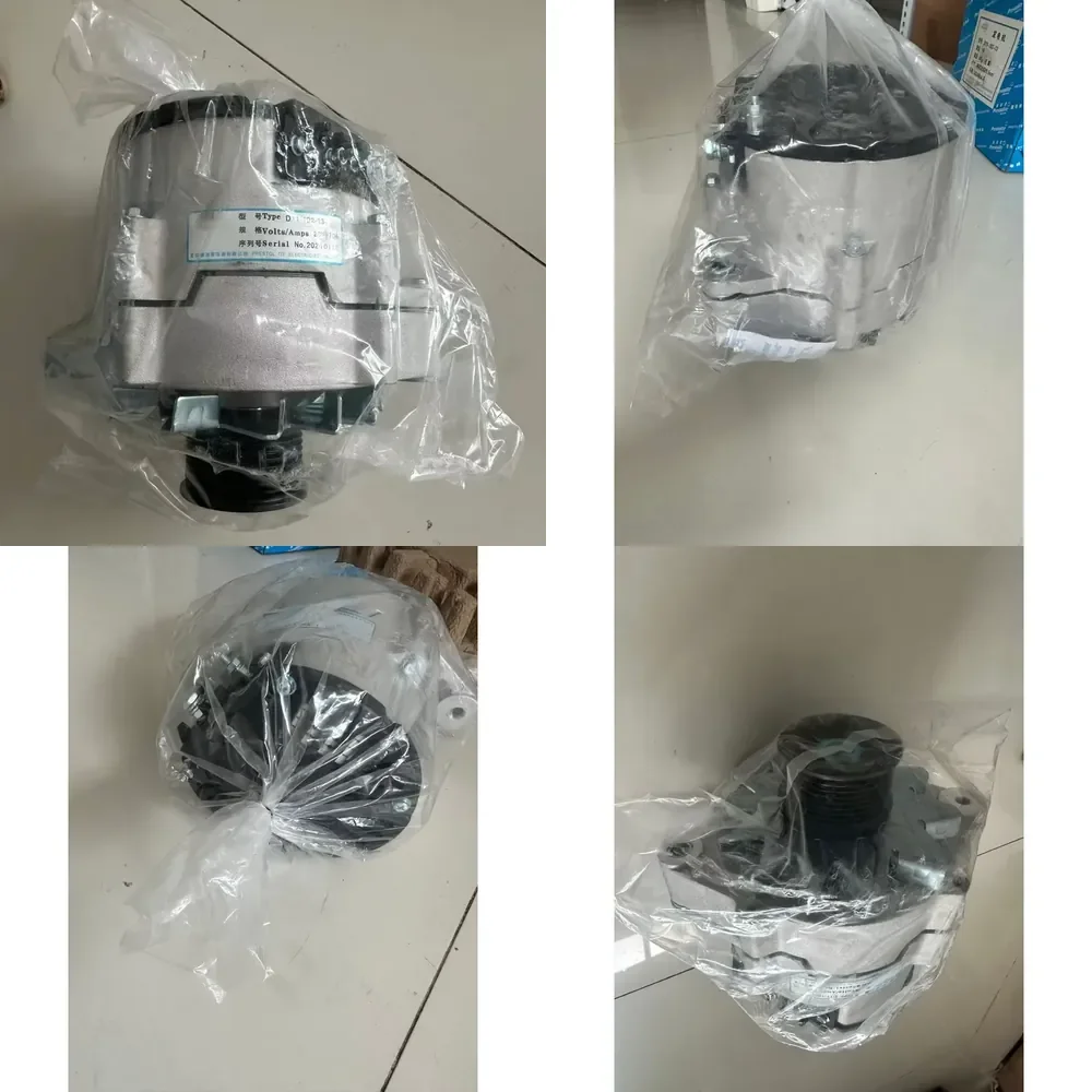 Original Generator Engine Original Accessories D Series Alternator D11-102-09+E
Original Generator Engine Original Accessories D Series Alternator D11-102-09+E