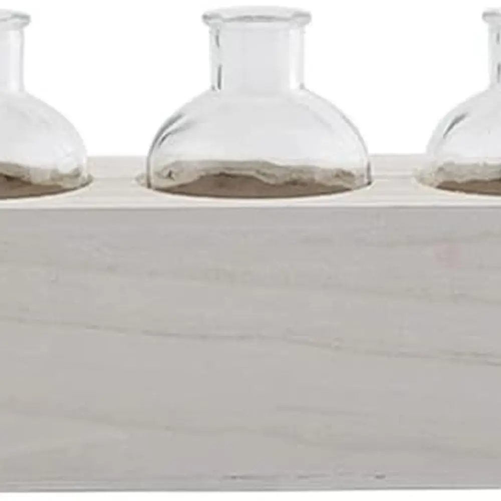 Clear Glass Vase with Wooden Base, 3 x 33.25
Clear Glass Vase with Wooden Base, 3 x 33.25