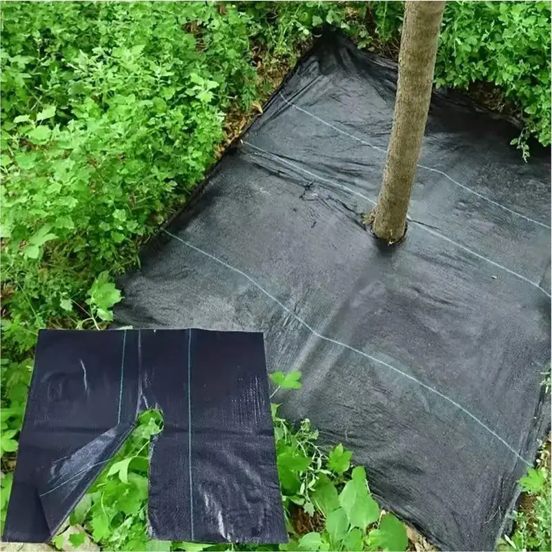 Grass Barrier Fabric Heavy Duty Ground Cover Membrane Tear-Resistant Versatile Block Gardening Mat For Farm Yard Pathway Lawn
Grass Barrier Fabric Heavy Duty Ground Cover Membrane Tear-Resistant Versatile Block Gardening Mat For Farm Yard Pathway Lawn