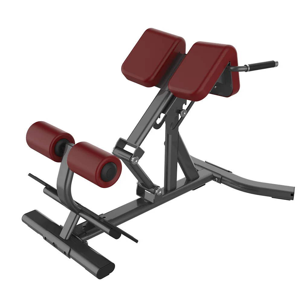 Hot Selling Gym Fitness Exeserces 45 Degree Back Stretch Machine Roman Chairpromote sales
Hot Selling Gym Fitness Exeserces 45 Degree Back Stretch Machine Roman Chairpromote sales