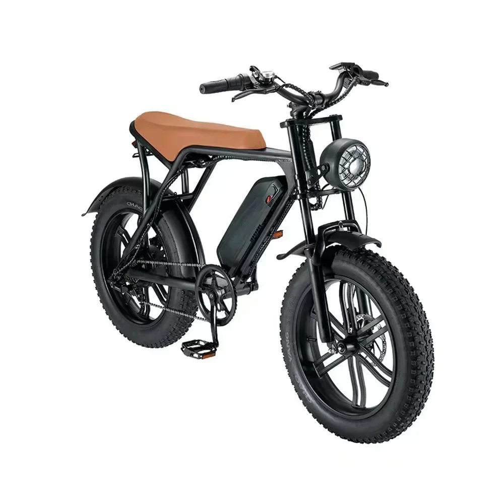 Customized bicycle V8 brown (sea freight)
Customized bicycle V8 brown (sea freight)