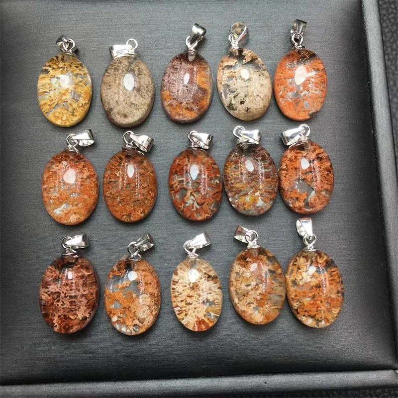 S925 Natural Garden Quartz Pendant Carving Crystals And Stones Healing Home Decoration Accessories Room Decor
S925 Natural Garden Quartz Pendant Carving Crystals And Stones Healing Home Decoration Accessories Room Decor