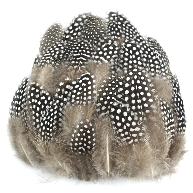 Wholesale Colored Natural Guinea Fowl Feathers for Jewelry Making Decorative Dream Catcher Decor Earrings Handicraft Accessories
Wholesale Colored Natural Guinea Fowl Feathers for Jewelry Making Decorative Dream Catcher Decor Earrings Handicraft Accessories