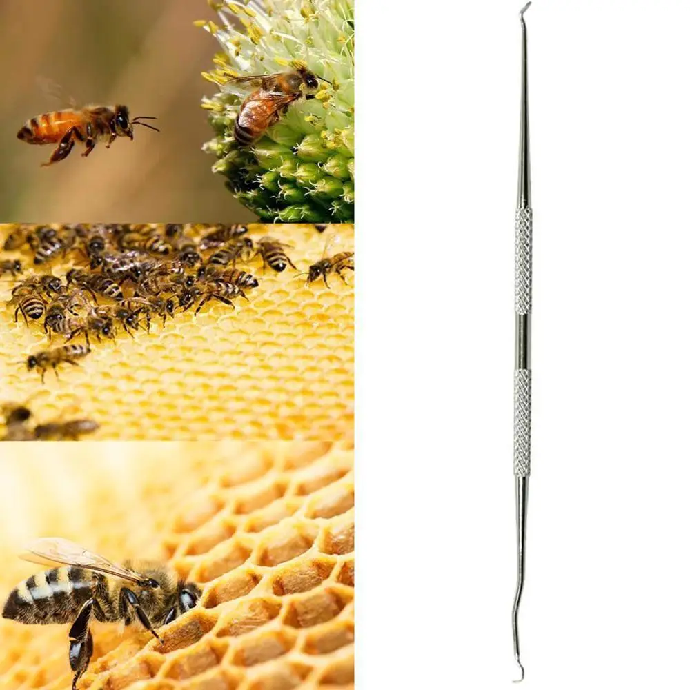 1PCS Stainless Steel Grafting Tool European Style German Grafting Tool Queen Rearing Tool Beekeeping Tool
1PCS Stainless Steel Grafting Tool European Style German Grafting Tool Queen Rearing Tool Beekeeping Tool