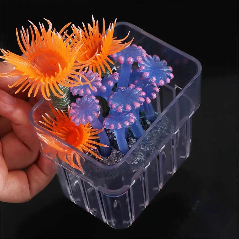Hanging Aquarium Planting Basket Transparent Plastic Hydroponic Support Cup Household Aquatic Plant Holder For Fish Tank
Hanging Aquarium Planting Basket Transparent Plastic Hydroponic Support Cup Household Aquatic Plant Holder For Fish Tank