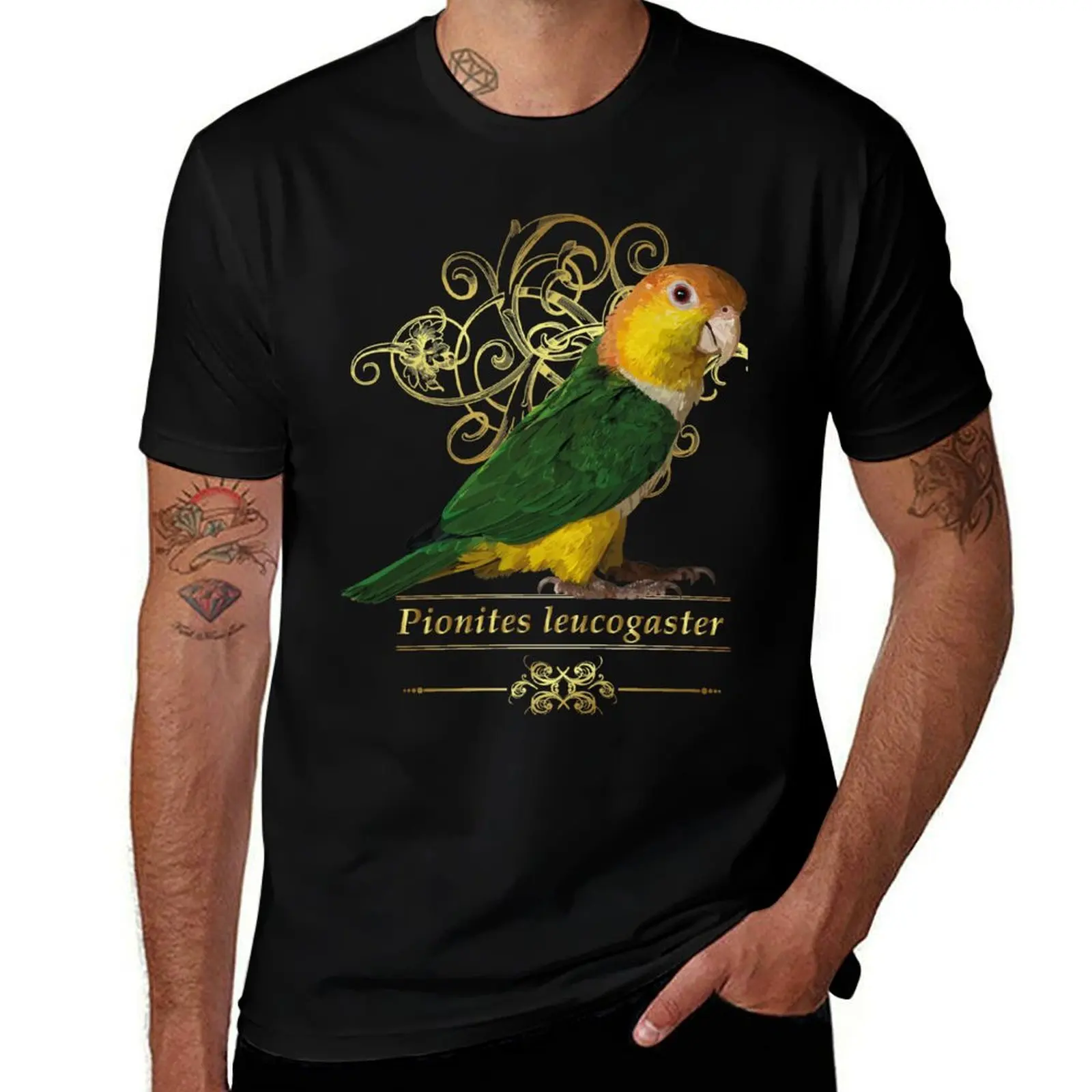 cotton shirt caique man man tshirt T-Shirt t t heavy percent cotton man for shirt 100
cotton shirt caique man man tshirt T-Shirt t t heavy percent cotton man for shirt 100