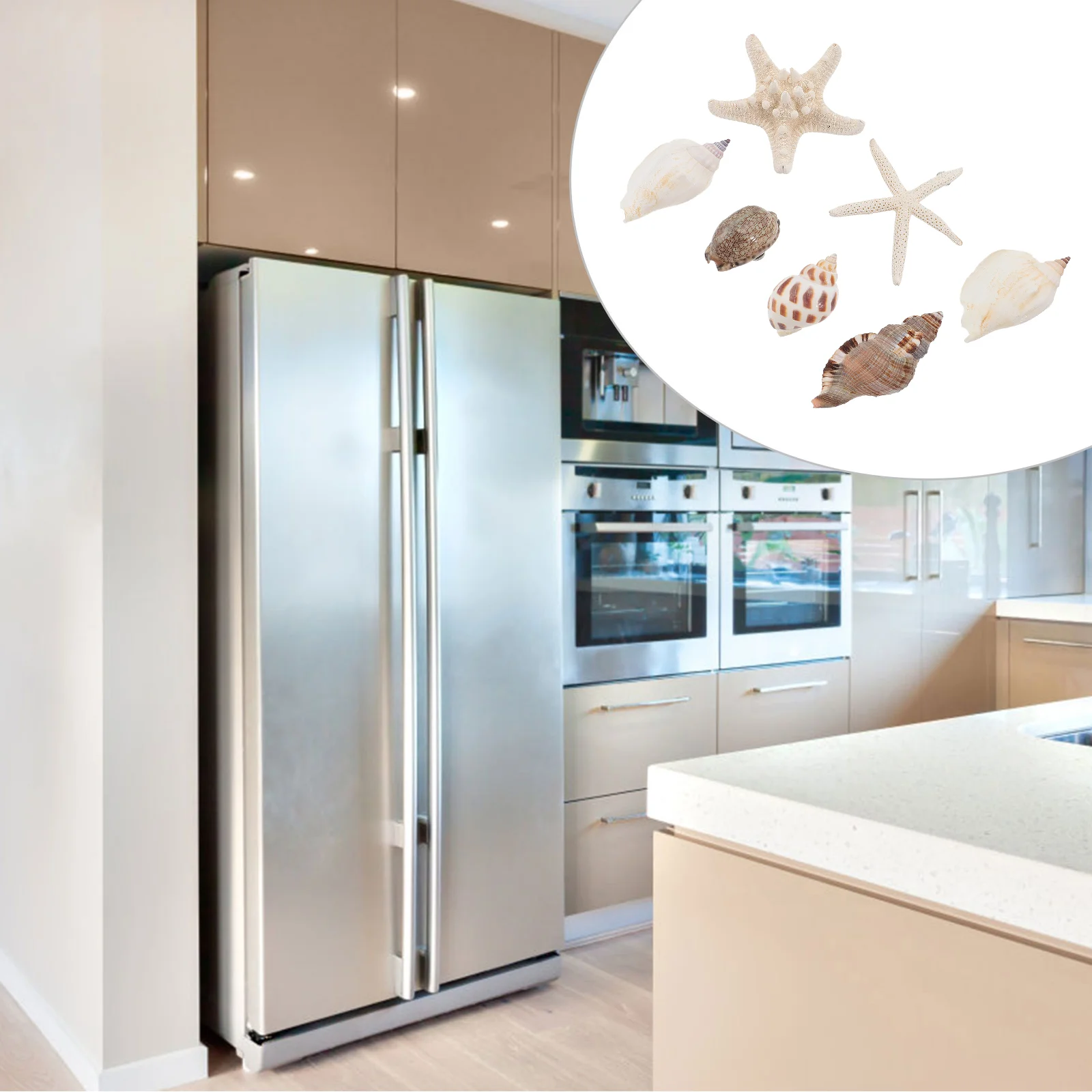 7 PCS Small Refrigerator for Room Shell Magnets Decorative Decals Cartoon Patch Child
7 PCS Small Refrigerator for Room Shell Magnets Decorative Decals Cartoon Patch Child