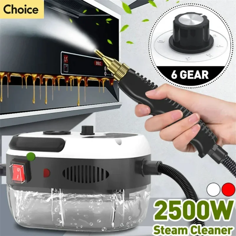 2025 새로운 스팀 청소기 고온 소독 에어컨 주방 범위 후드 가정용/자동차 스팀 청소기 220V