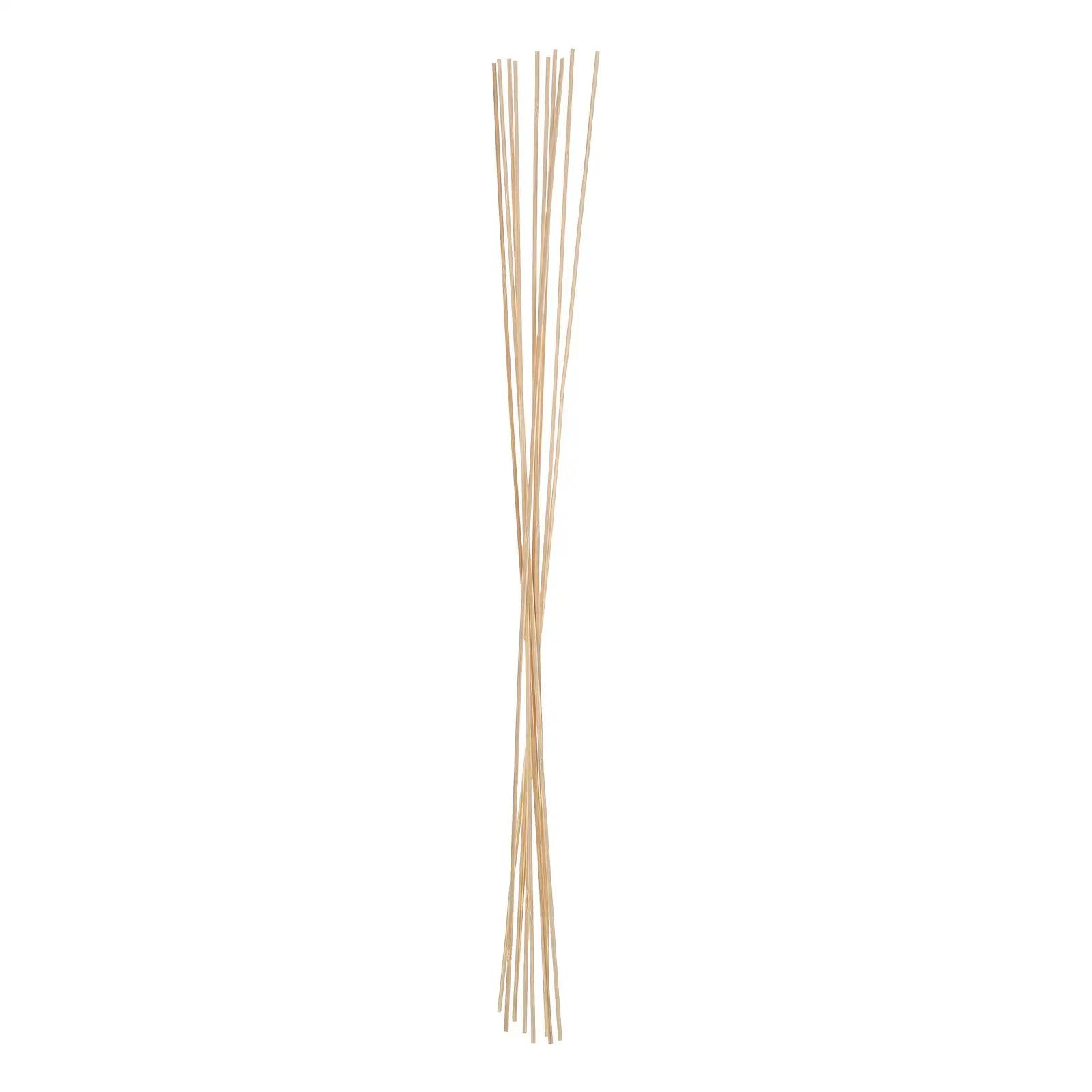 10 Pcs Kite Material Rod Wood Strips Flight Solid Bamboo Crafts DIY Blank Kites for Kids Make Your Own Child
10 Pcs Kite Material Rod Wood Strips Flight Solid Bamboo Crafts DIY Blank Kites for Kids Make Your Own Child