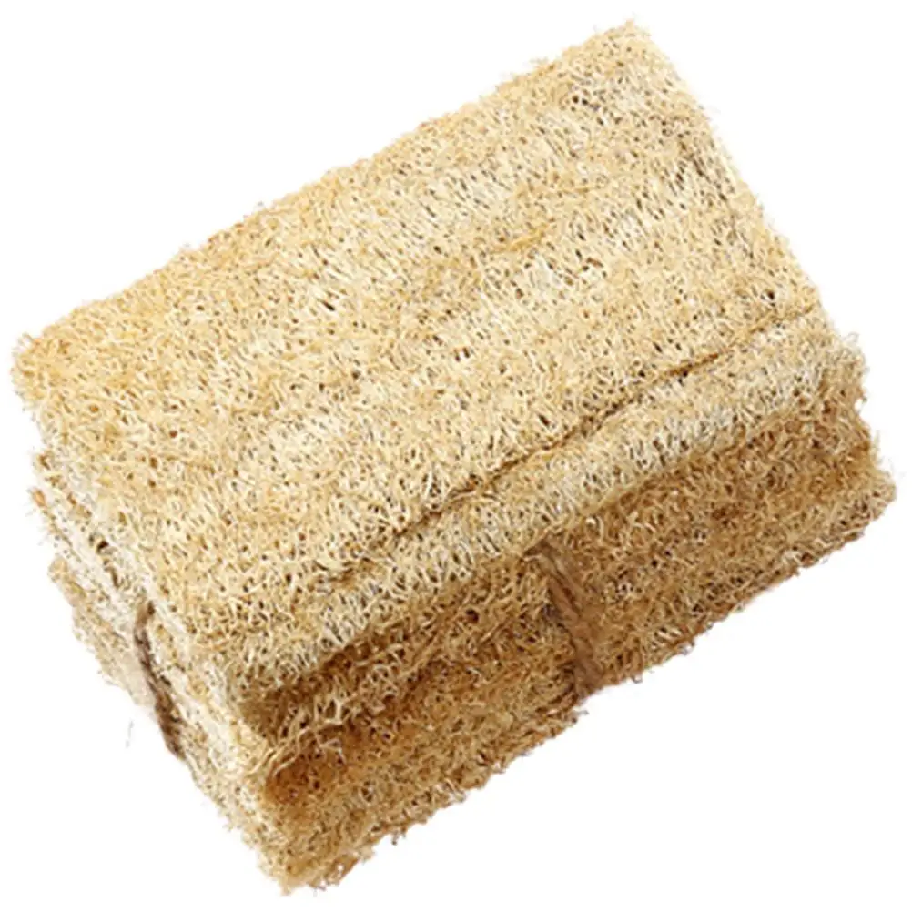 3 Pcs Loofah Sponge Pad Kitchen Cleaning Sponges Scouring Cloth Multipurpose Dish Washing Tools Home Brush Oil Resistant
3 Pcs Loofah Sponge Pad Kitchen Cleaning Sponges Scouring Cloth Multipurpose Dish Washing Tools Home Brush Oil Resistant