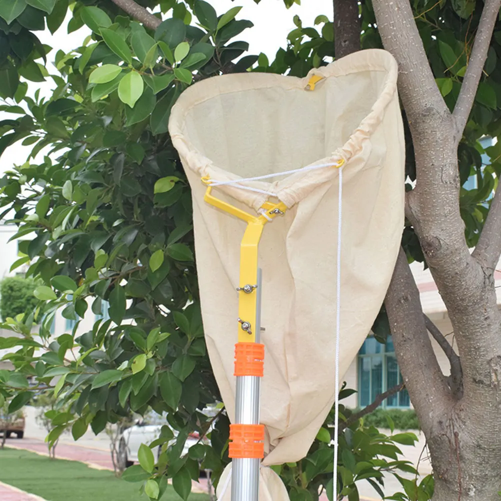 1pc Bee Catching Net Canvas Bag Lightweight Tool for Swarm Trap Hive Equipment Beekeeping Supplies Portable Catcher
1pc Bee Catching Net Canvas Bag Lightweight Tool for Swarm Trap Hive Equipment Beekeeping Supplies Portable Catcher