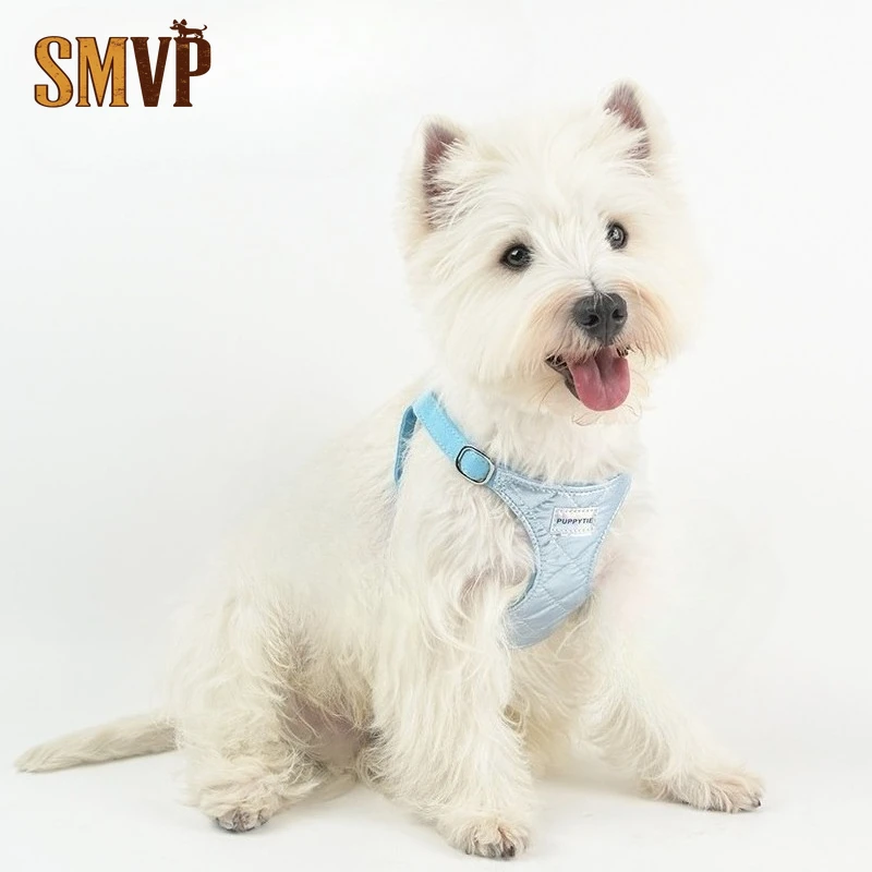 Handsome Small and Medium Sized Pet Dog Vest with Laser Reflective Material Including A Leash Light and Safe To Escape Dog Leash
Handsome Small and Medium Sized Pet Dog Vest with Laser Reflective Material Including A Leash Light and Safe To Escape Dog Leash