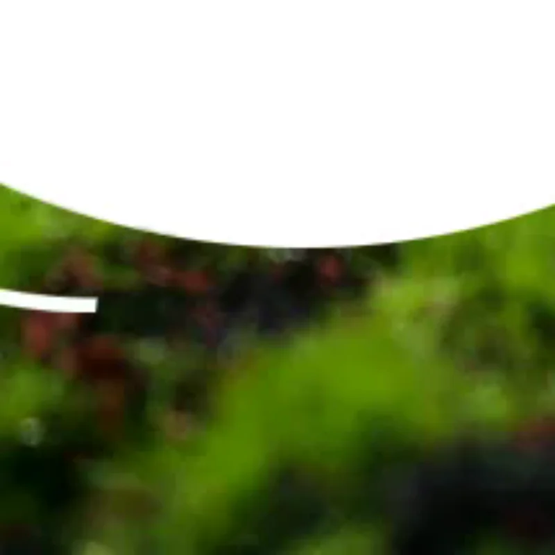 4 шт. 1:12 кукольный домик миниатюрное мини-дерево в горшке для зеленого растения в горшке мебель для кукольного дома домашний декор имитация горшечных растений
4 шт. 1:12 кукольный домик миниатюрное мини-дерево в горшке для зеленого растения в горшке мебель для кукольного дома домашний декор имитация горшечных растений