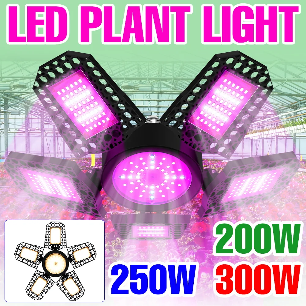 Светодиодная лампа для выращивания растений 300 Вт, полный спектр, для гидропоники, для теплиц, цветов, овощей, растений, AC100-277V
Светодиодная лампа для выращивания растений 300 Вт, полный спектр, для гидропоники, для теплиц, цветов, овощей, растений, AC100-277V