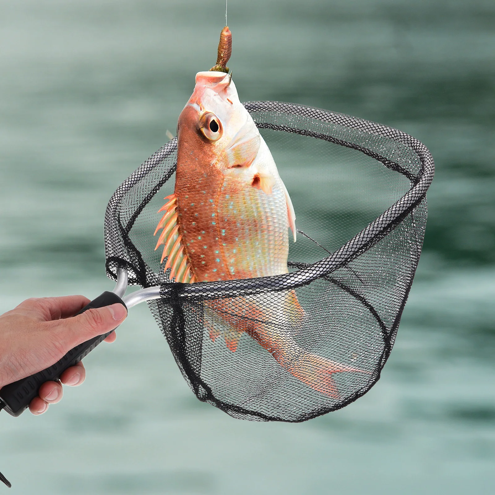 Lightweight Stream Fishing Net Floating Fine Mesh Small Fish Crabs Pond Kayak Transfer Landing Net Tool Small Fish Tank
Lightweight Stream Fishing Net Floating Fine Mesh Small Fish Crabs Pond Kayak Transfer Landing Net Tool Small Fish Tank