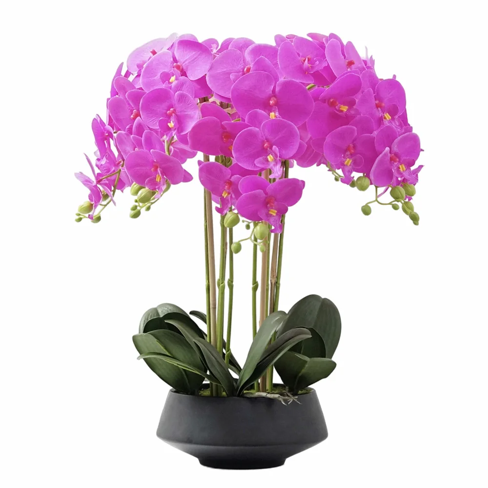 Artificial Potted Phalaenopsis Real Touch Silk Butterfly Orchid in Pot Home Office Table Decoration
Artificial Potted Phalaenopsis Real Touch Silk Butterfly Orchid in Pot Home Office Table Decoration