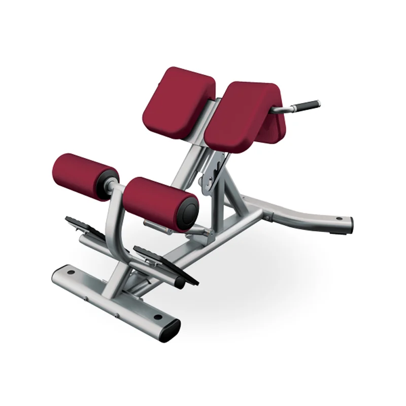 Adjustable Metal Roman Chair Home Strength Training Benches Racks Foldable Steel Back Extension Multifunctional Bodybuilding
Adjustable Metal Roman Chair Home Strength Training Benches Racks Foldable Steel Back Extension Multifunctional Bodybuilding