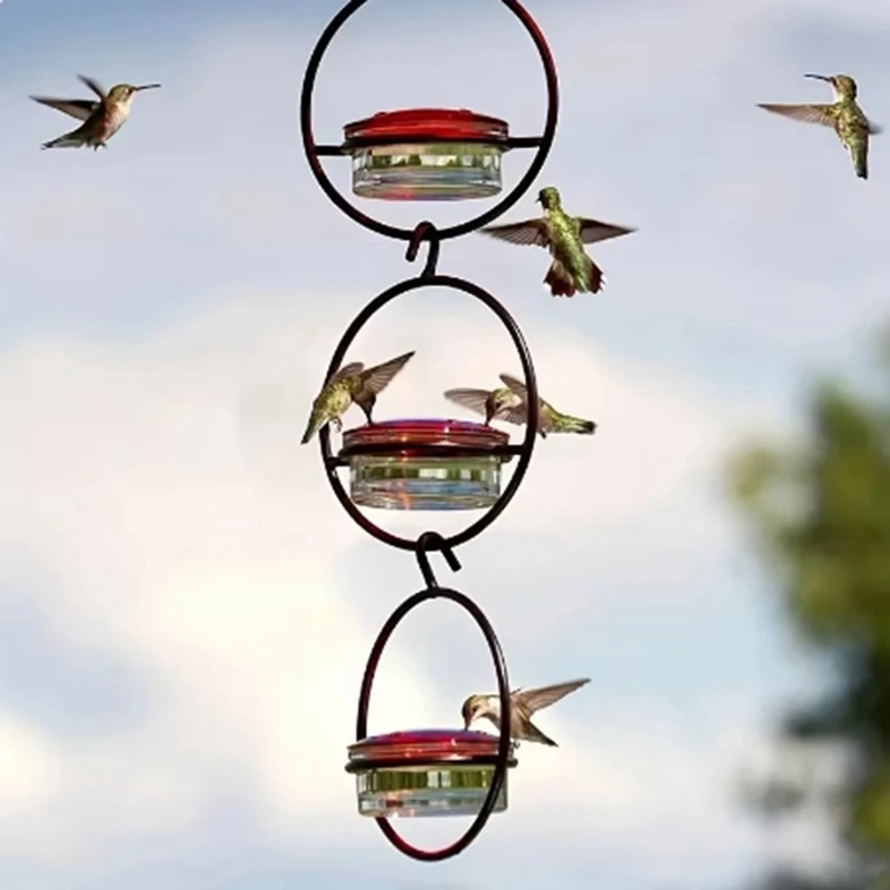 【HOT】Hummingbird Feeder, Beautiful Hanging Bird Feeder With Circular Metal Frame & Metal Bottle. Hummingbird Feeder
【HOT】Hummingbird Feeder, Beautiful Hanging Bird Feeder With Circular Metal Frame & Metal Bottle. Hummingbird Feeder