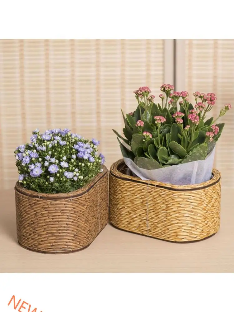 Handmade Rattan Planter Flower Pots Perfect For Growing Herbs And Potted Plant Flower On Balcony and Bedroom Decoration
Handmade Rattan Planter Flower Pots Perfect For Growing Herbs And Potted Plant Flower On Balcony and Bedroom Decoration