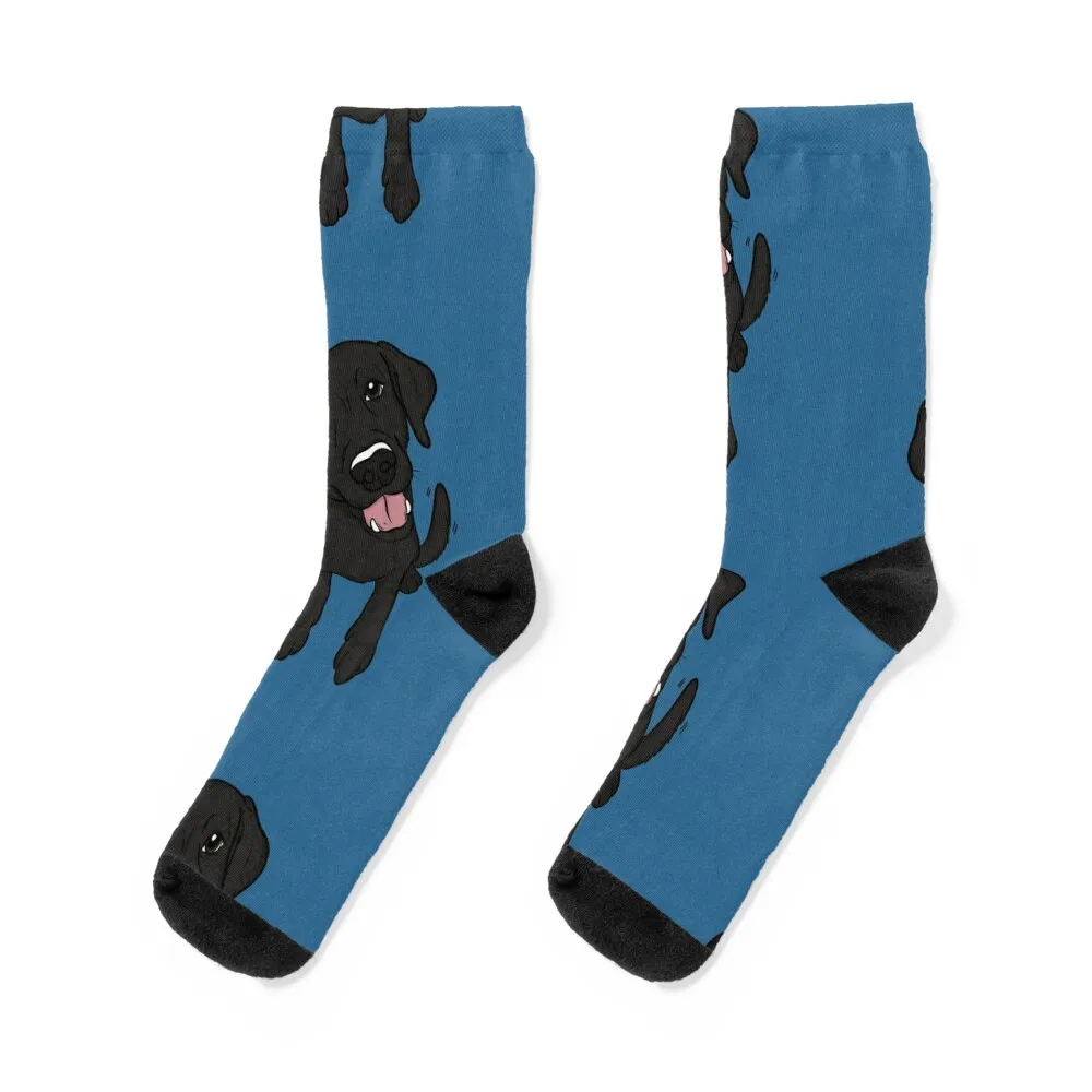 Adorable Black Lab Socks japanese fashion hip hop New year's Luxury Woman Socks Men's
Adorable Black Lab Socks japanese fashion hip hop New year's Luxury Woman Socks Men's
