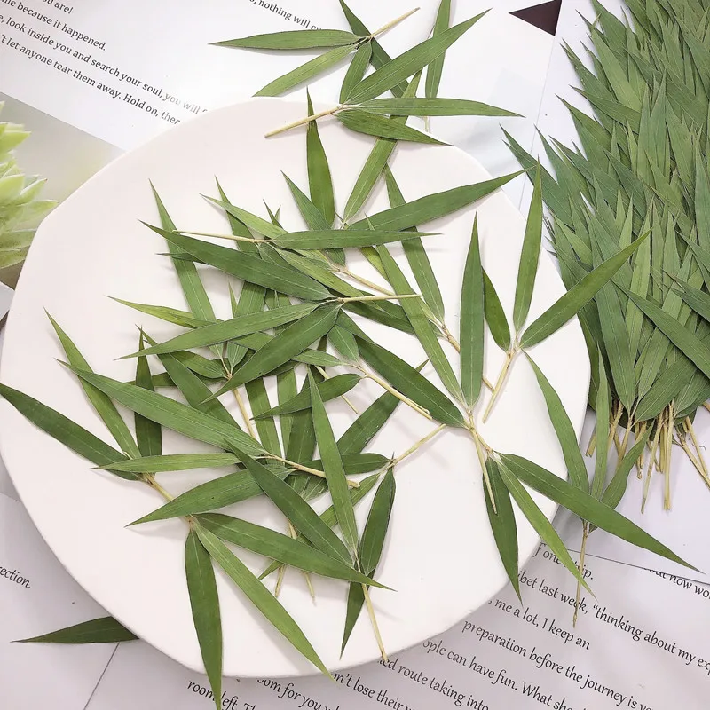 100Pcs Natural Plant Specimens Resin-Dried Flowers Phone Case Pressed Flowers Table Lamp Bamboo Leaves Real Leaves Dried Flowers DIY Material Kit Photo Frame Specimen
100Pcs Natural Plant Specimens Resin-Dried Flowers Phone Case Pressed Flowers Table Lamp Bamboo Leaves Real Leaves Dried Flowers DIY Material Kit Photo Frame Specimen