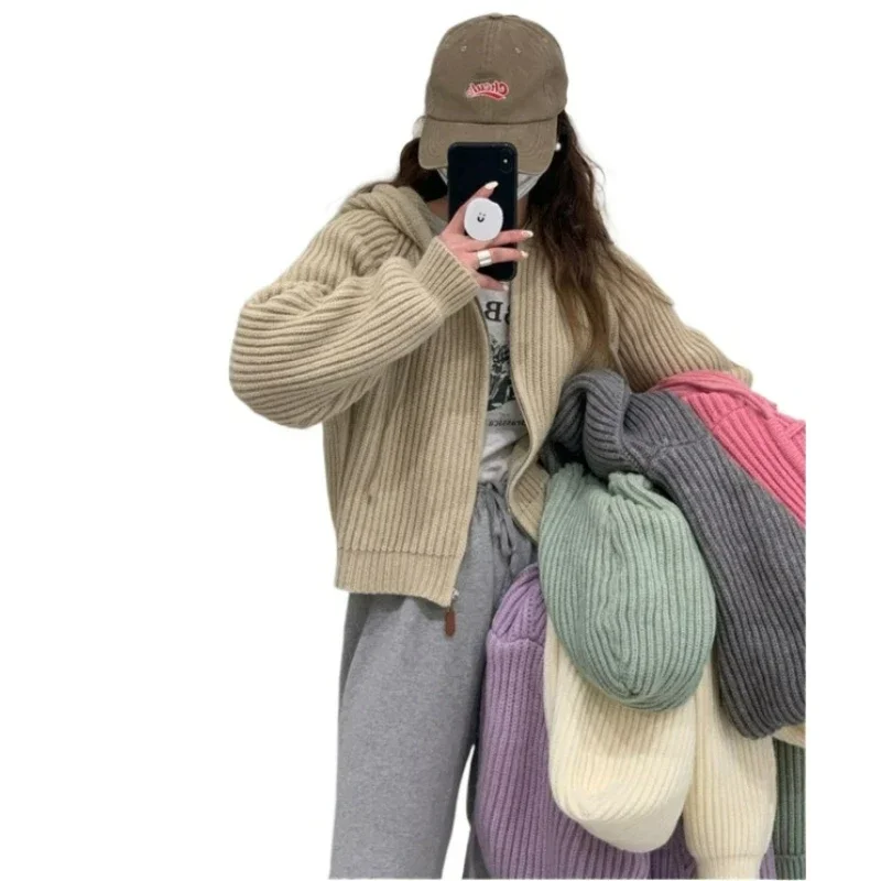 Solid Color Casual Zipper Hooded Sweater Women 2024 New Korean Version of Short Sweater Small Temperament Cardigan Coat Tide
Solid Color Casual Zipper Hooded Sweater Women 2024 New Korean Version of Short Sweater Small Temperament Cardigan Coat Tide