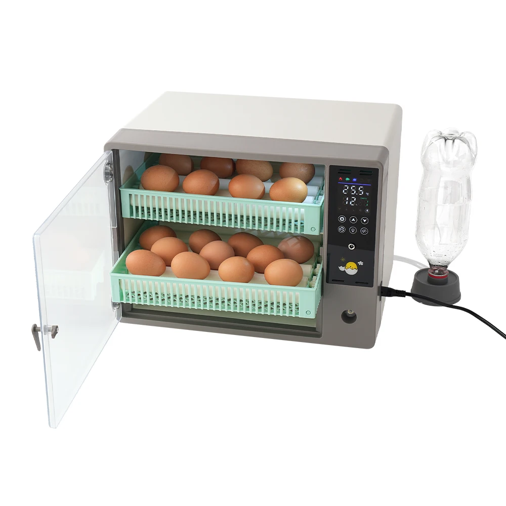 Fully Automatic 50 Egg Incubators Automatic Hatching Machine New Egg Incubator for Home
Fully Automatic 50 Egg Incubators Automatic Hatching Machine New Egg Incubator for Home