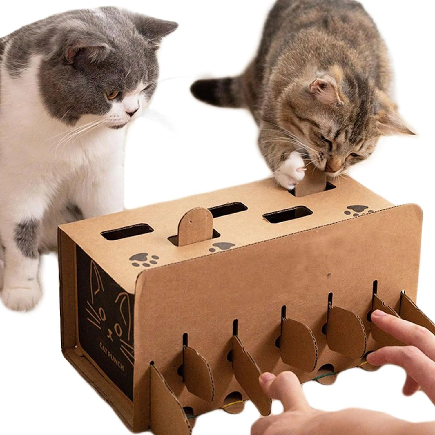 Yamyidar Pet Cat Toy, Interactive Cat Hunt Training Cat Teaser Box Puzzle Toy Game for Cat, Whack-A-Mole
Yamyidar Pet Cat Toy, Interactive Cat Hunt Training Cat Teaser Box Puzzle Toy Game for Cat, Whack-A-Mole