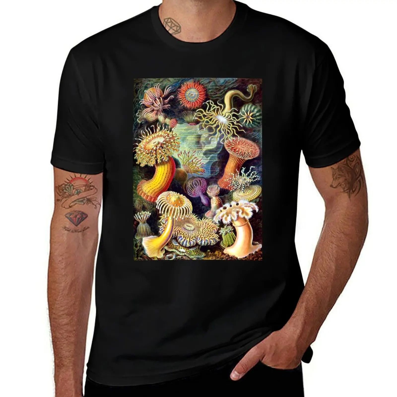 Haeckel illustration T-Shirt anime t shirts oversize cotton t shirts high quality t shirt man plain T-shirt
Haeckel illustration T-Shirt anime t shirts oversize cotton t shirts high quality t shirt man plain T-shirt