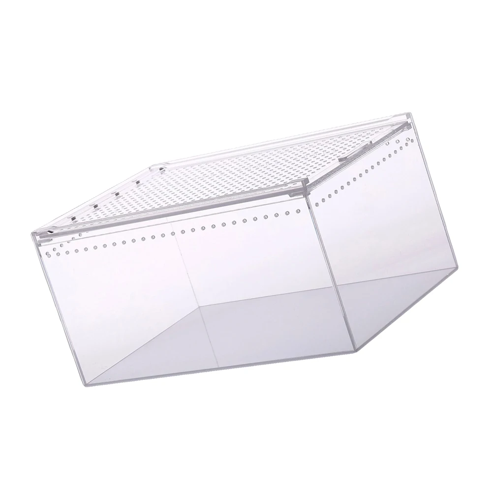 Leak-proof Reptile Box Transparent Breeding Case Tank Climbing Feeding Containers for Turtle Spiders Snakes
Leak-proof Reptile Box Transparent Breeding Case Tank Climbing Feeding Containers for Turtle Spiders Snakes