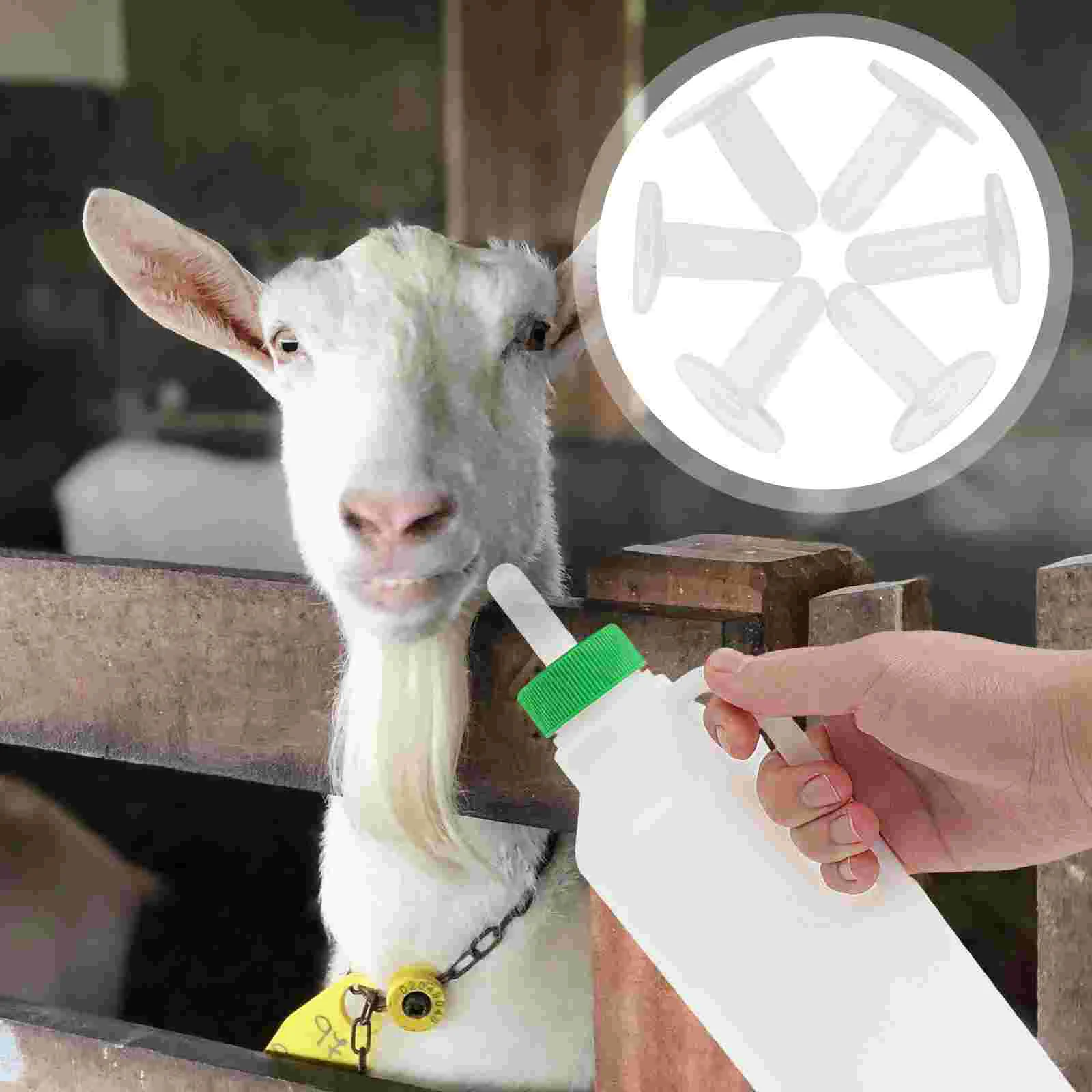 Spoon Baby Bottle Nipple Milk Lamb Feeding Tools Transparent Silica Gel Bottles
Spoon Baby Bottle Nipple Milk Lamb Feeding Tools Transparent Silica Gel Bottles