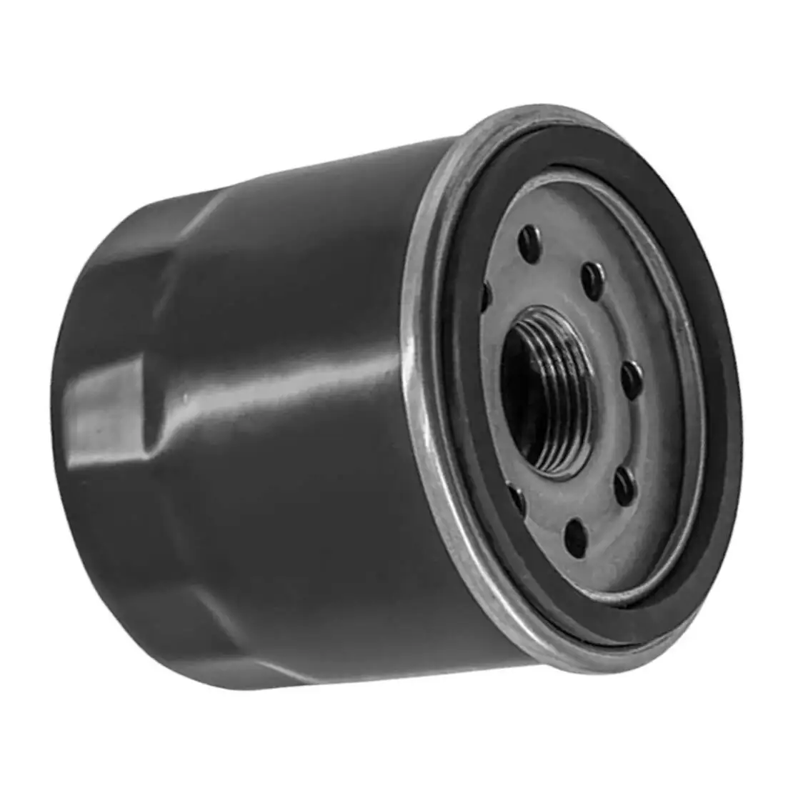 Black Oil Filter Fit for Honda Gold Wing GL1800 GL1800B F6B F6C 2001 2002 2003 2004 2005 2006 2007 2008 2009 2010 2011 2012-2017
Black Oil Filter Fit for Honda Gold Wing GL1800 GL1800B F6B F6C 2001 2002 2003 2004 2005 2006 2007 2008 2009 2010 2011 2012-2017