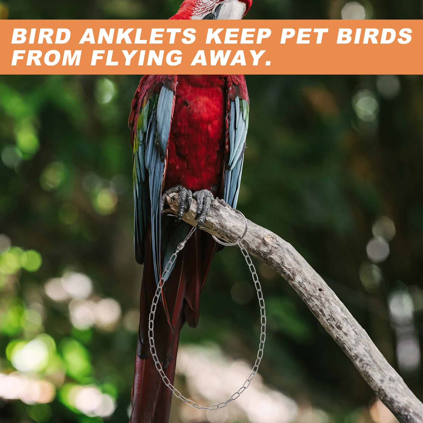 1pc Stainless Steel Bird Anklet Durable Foot Chain Smooth Surface Protects Pet Feet Anti-Fading Design Easy Clean Buckle
1pc Stainless Steel Bird Anklet Durable Foot Chain Smooth Surface Protects Pet Feet Anti-Fading Design Easy Clean Buckle