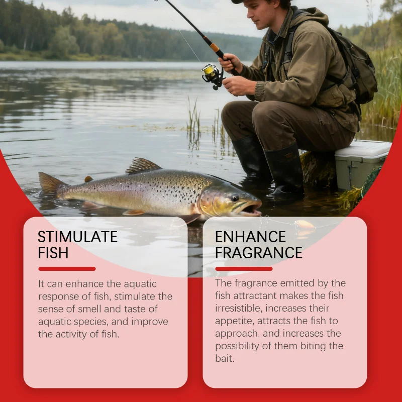 Exfoliating Serum with Moisturizing Care Benefits Gently Exfoliates, Boosts Hydration and Strengthens Skin Repair
Exfoliating Serum with Moisturizing Care Benefits Gently Exfoliates, Boosts Hydration and Strengthens Skin Repair