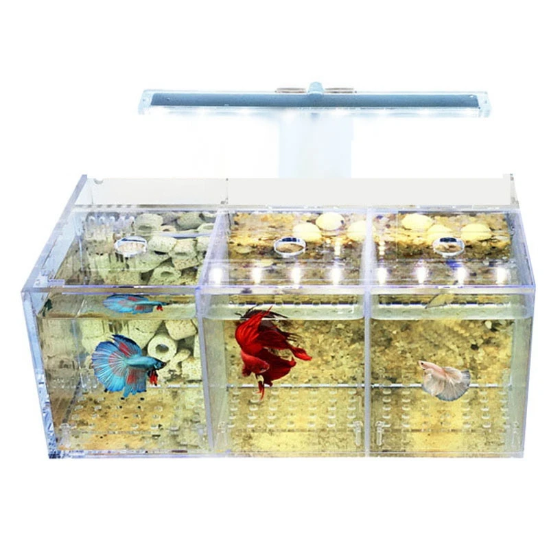 Aquarium LED Acrylic Betta Fish Tank Set Mini Desktop Light Water Pump Filters
Aquarium LED Acrylic Betta Fish Tank Set Mini Desktop Light Water Pump Filters