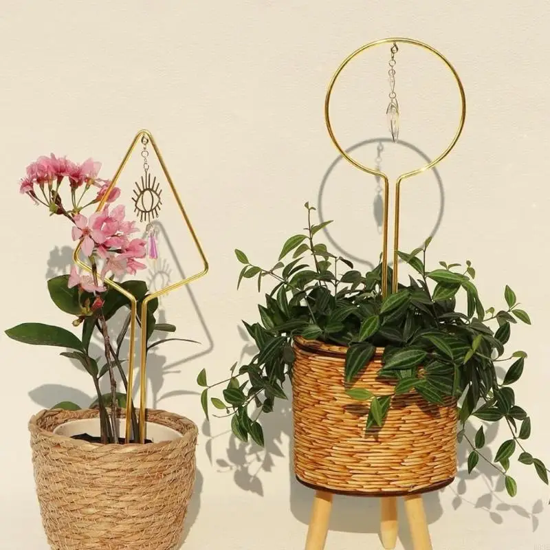 Durability Plant Support Featuring Sun and Moon Crystal Panels for Creating Light Pattern in Potted Gardens B03E
Durability Plant Support Featuring Sun and Moon Crystal Panels for Creating Light Pattern in Potted Gardens B03E