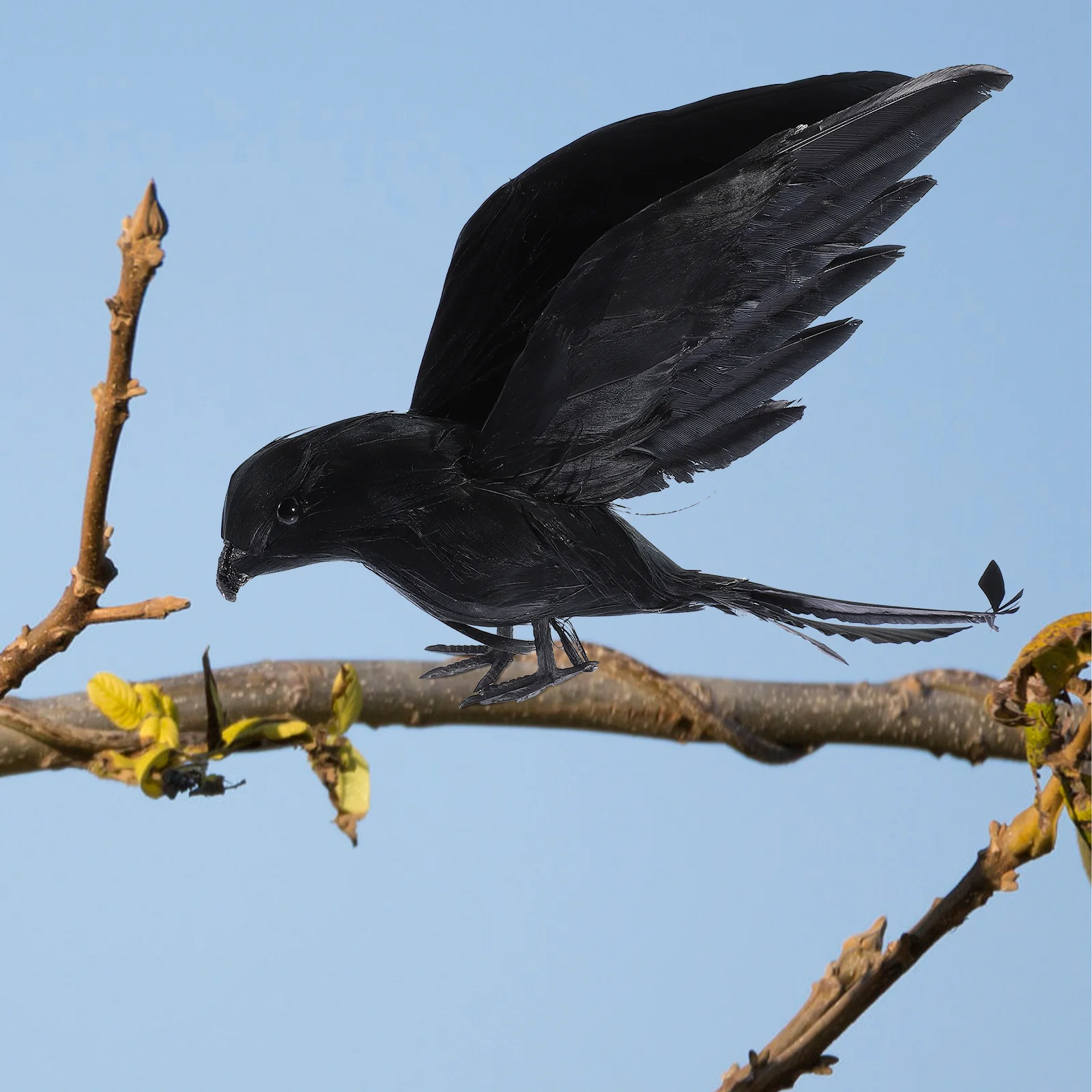 Crow Decoration Safe Material Lightweight Portable Simple Design Practical Use Halloween Scene Layout Crow Figurine
Crow Decoration Safe Material Lightweight Portable Simple Design Practical Use Halloween Scene Layout Crow Figurine