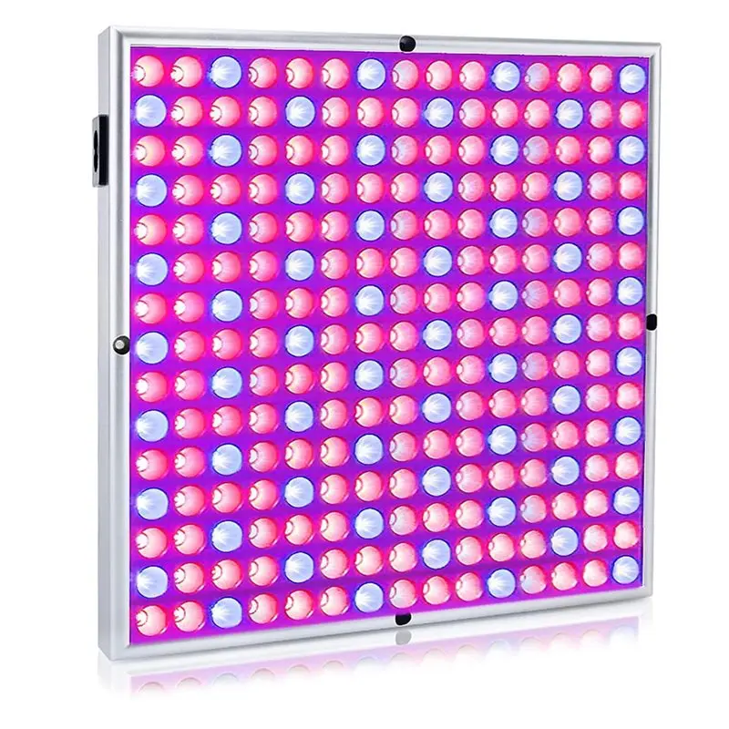 SHGO-Indoor Plants Grow Light(45 W) Plant Lamp Light Red& Blue Indoor Garden Plant Lighting System US Plug Growth
SHGO-Indoor Plants Grow Light(45 W) Plant Lamp Light Red& Blue Indoor Garden Plant Lighting System US Plug Growth