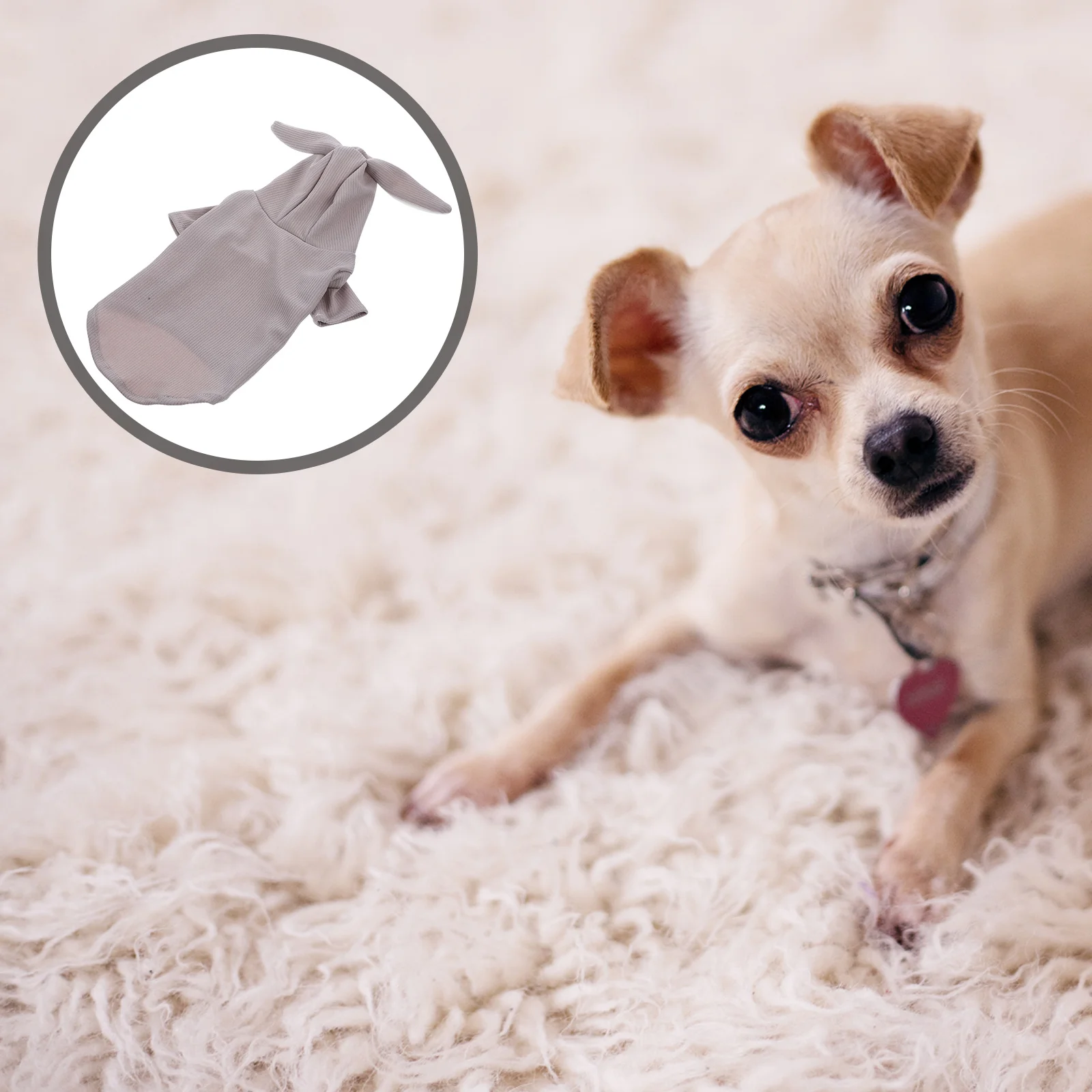 Clothing Warm Coats Adorable Dog Clothes Halloween Cat Supplies Party Costume Pet Clothes Trendy Dog Jacket Pet Wear
Clothing Warm Coats Adorable Dog Clothes Halloween Cat Supplies Party Costume Pet Clothes Trendy Dog Jacket Pet Wear