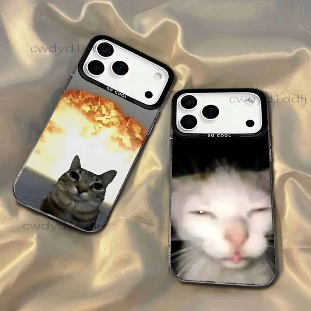 Funny Cats Kitty Meme Phone Case For iPhone 17,16,15,14,13,12,11,X,8,7,Pro,Max,Plus,SE4,Air,Mini IMD Gray Hard Matte
Funny Cats Kitty Meme Phone Case For iPhone 17,16,15,14,13,12,11,X,8,7,Pro,Max,Plus,SE4,Air,Mini IMD Gray Hard Matte