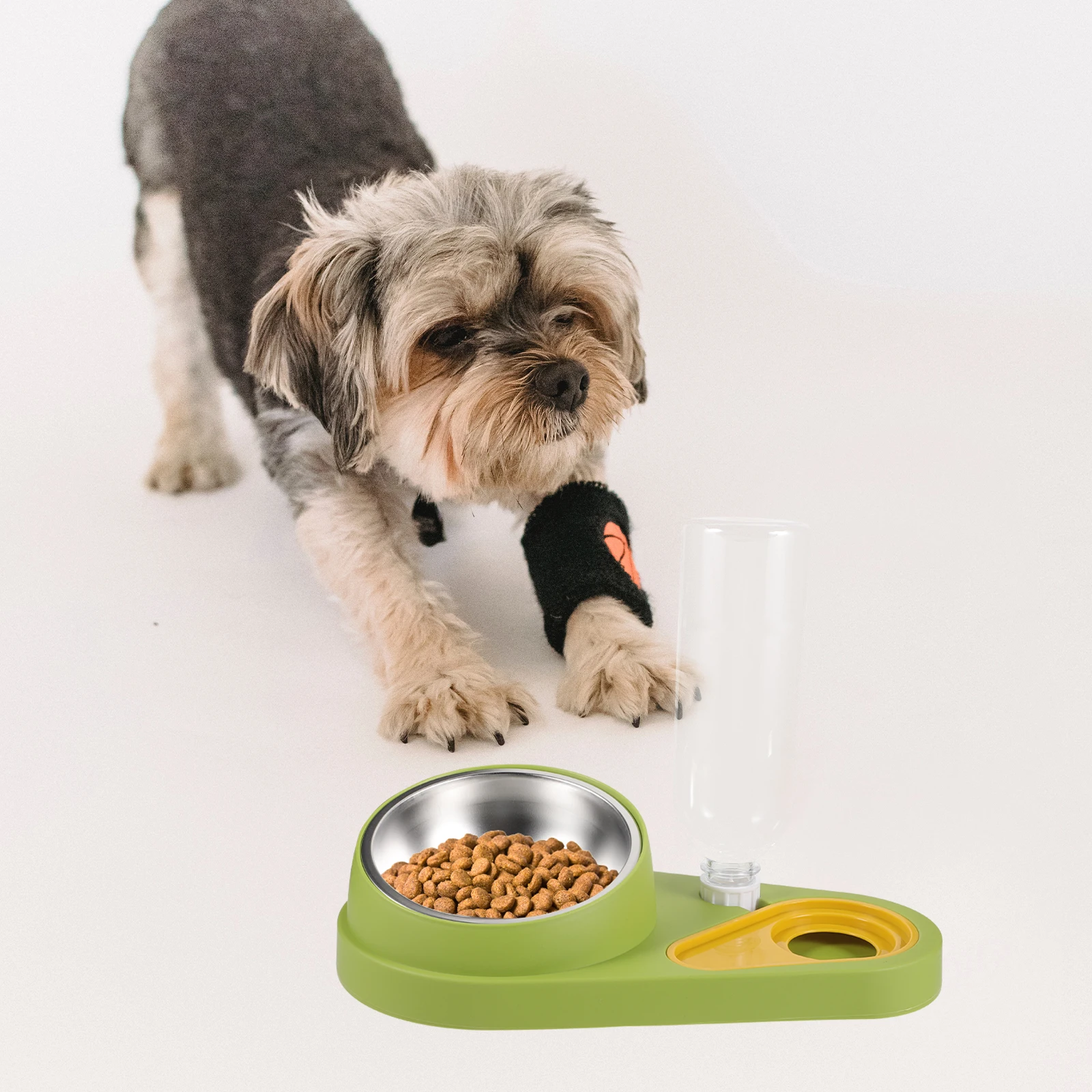 Automatic Dog Cat Anti-Slip Durable Food Dispenser Detachable Water Bowl Small Animal Feeder Green Plastic Cage Use Pet Feeding
Automatic Dog Cat Anti-Slip Durable Food Dispenser Detachable Water Bowl Small Animal Feeder Green Plastic Cage Use Pet Feeding