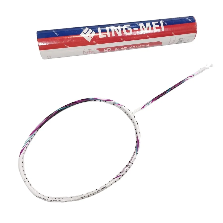 Outdoor high quality sport racket factory professional badminton full carbon fiber badminton racket
Outdoor high quality sport racket factory professional badminton full carbon fiber badminton racket