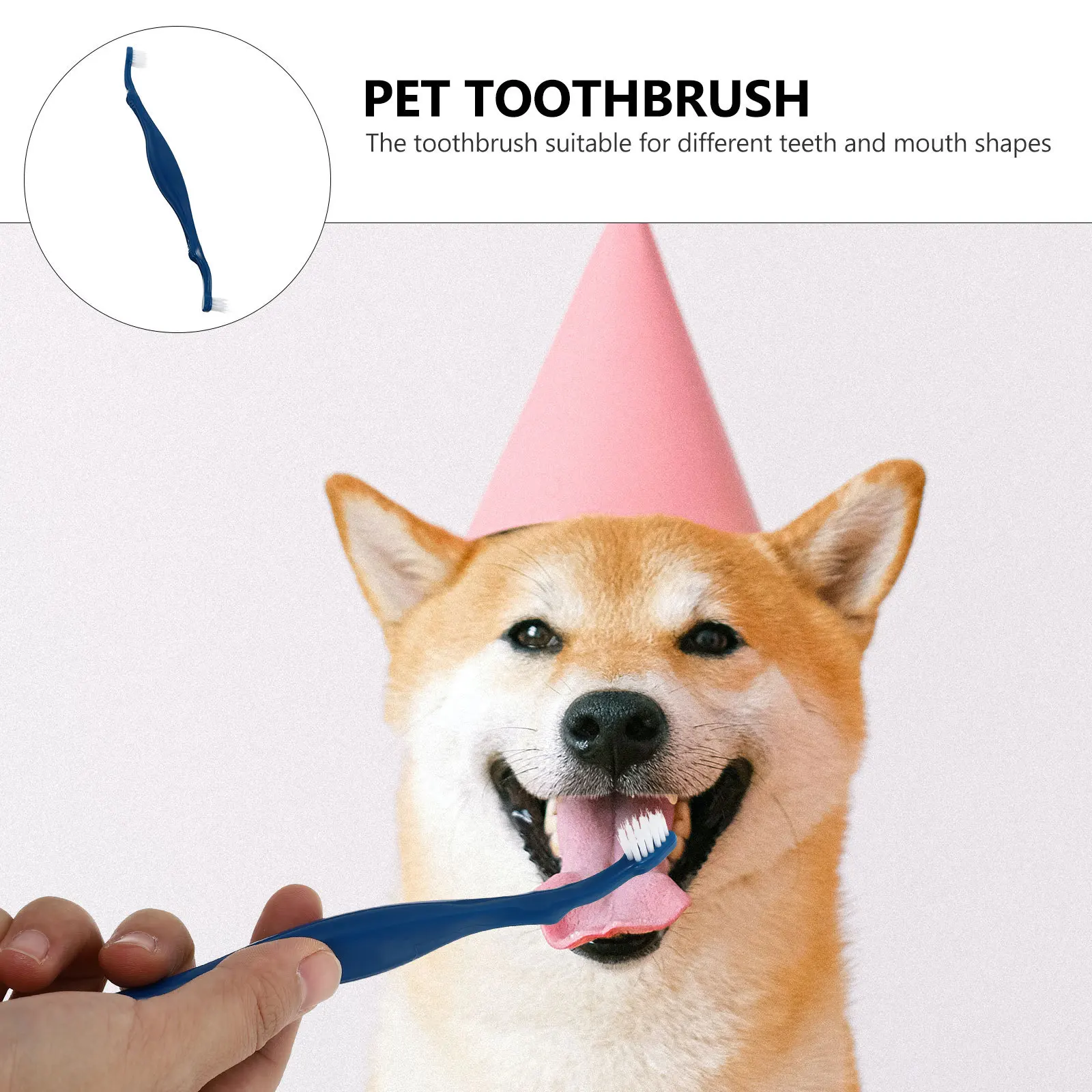 3 Pcs Pet Toothbrush Teeth Cleaning Equipment Care Dog Oral Sharpened Nylon for Lightweight 
3 Pcs Pet Toothbrush Teeth Cleaning Equipment Care Dog Oral Sharpened Nylon for Lightweight